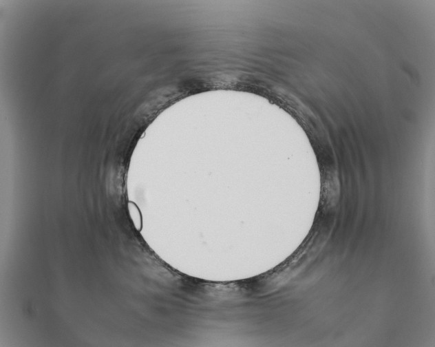 X0000111390525200908211404