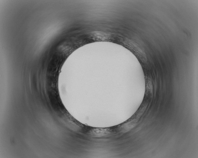 X0000111390526200908211404