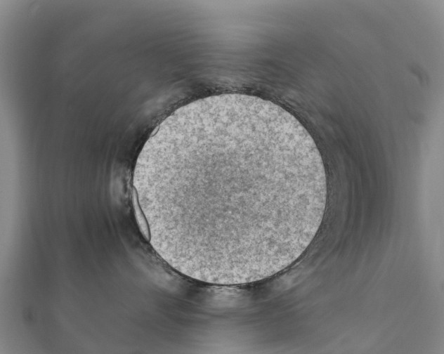 X0000111390528200908211404
