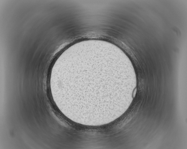 X0000111390530200908211404