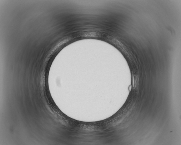 X0000111390531200908211404