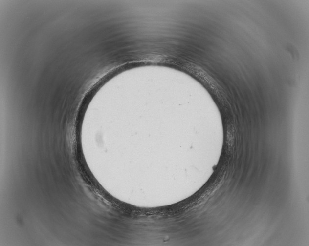 X0000111390532200908211404