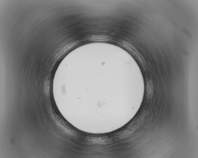 X0000111390533200908211404