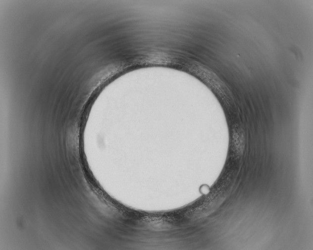 X0000111390534200908211404