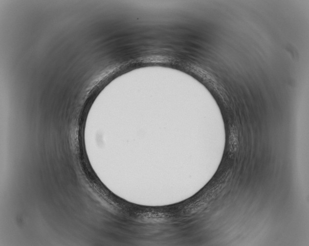 X0000111390535200908211404
