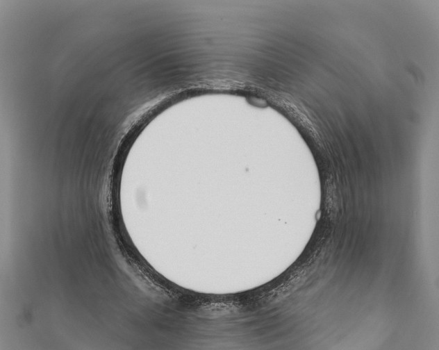 X0000111390536200908211404