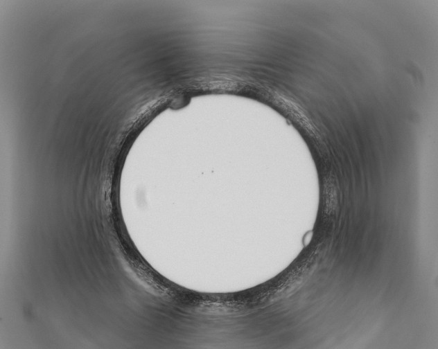 X0000111390538200908211404