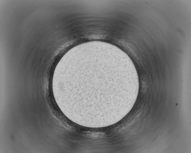 X0000111390539200908211404