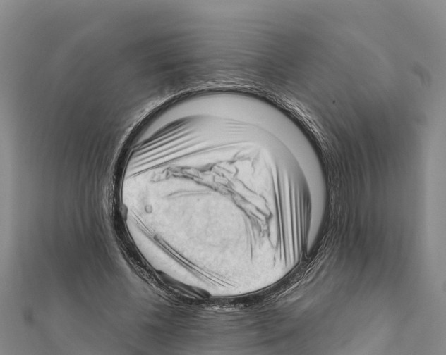 X0000111390540200908211404