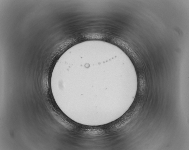 X0000111390541200908211404