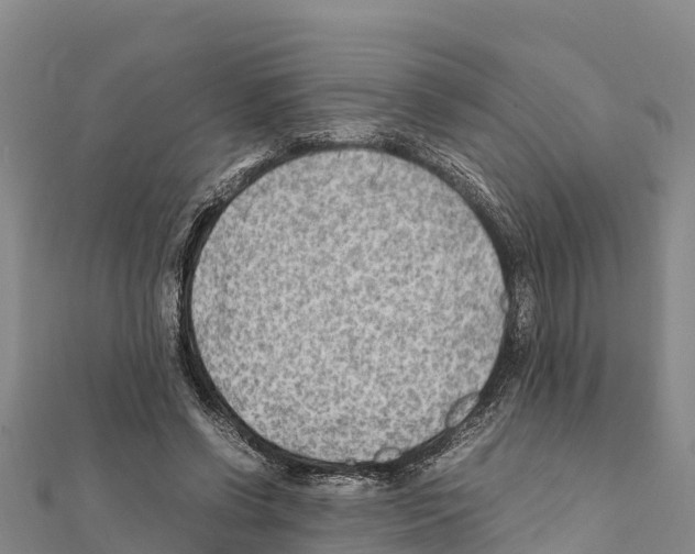 X0000111390542200908211404