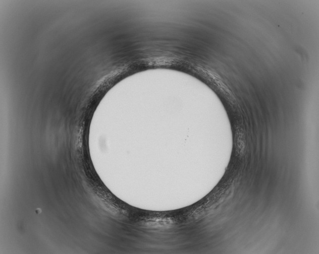 X0000111390543200908211404