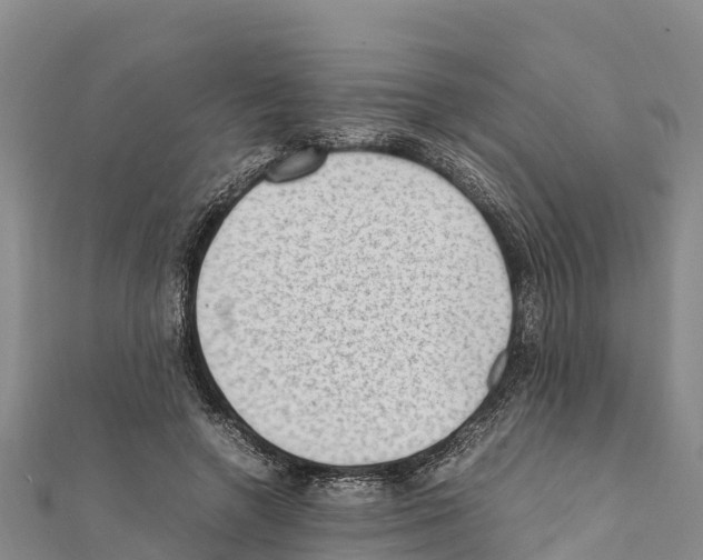 X0000111390546200908211404