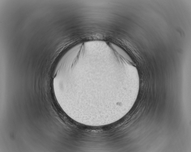 X0000111390548200908211404