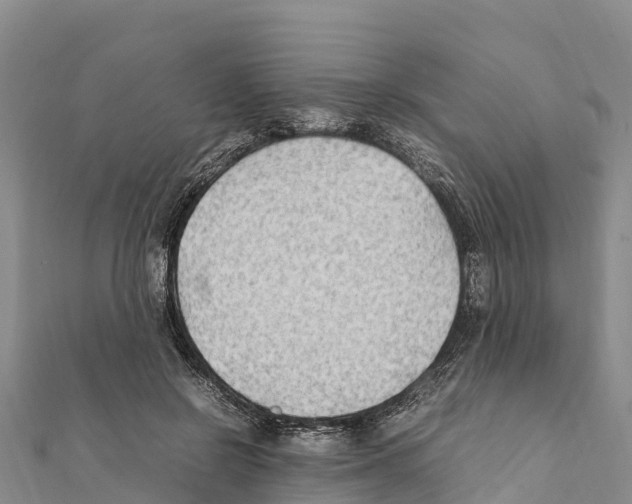 X0000111390550200908211404