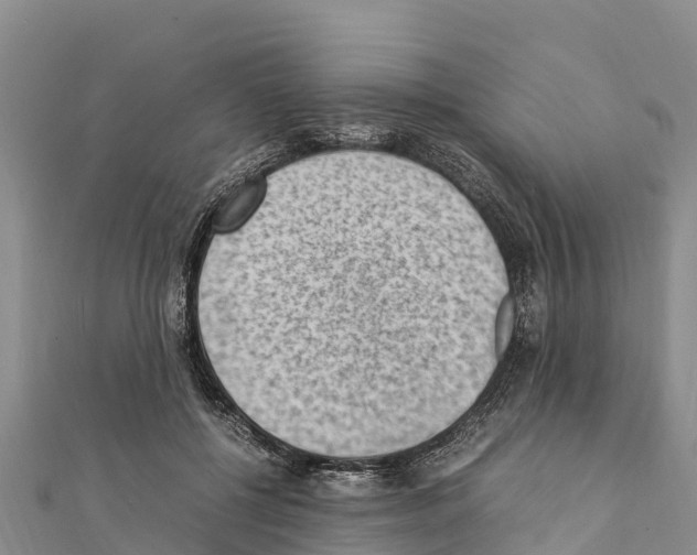 X0000111390552200908211404