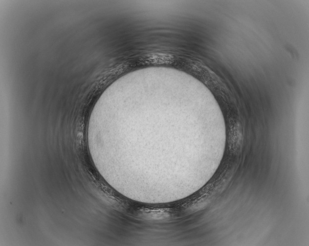 X0000111390553200908211404