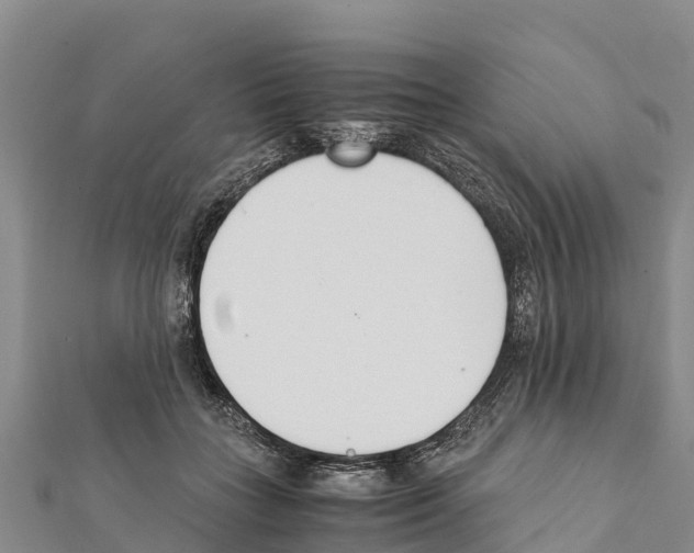 X0000111390555200908211404