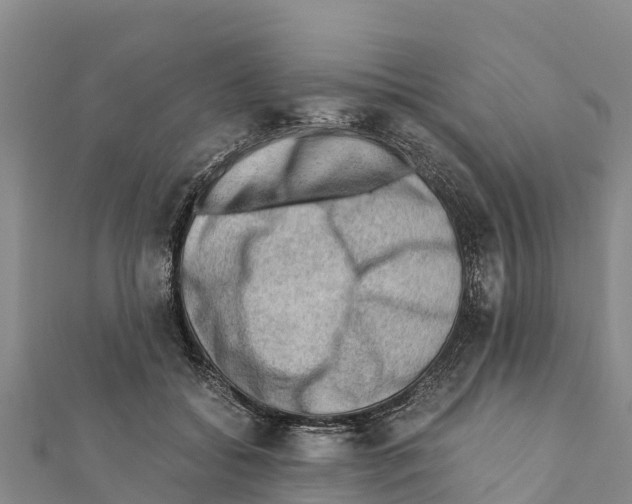 X0000111390556200908211404
