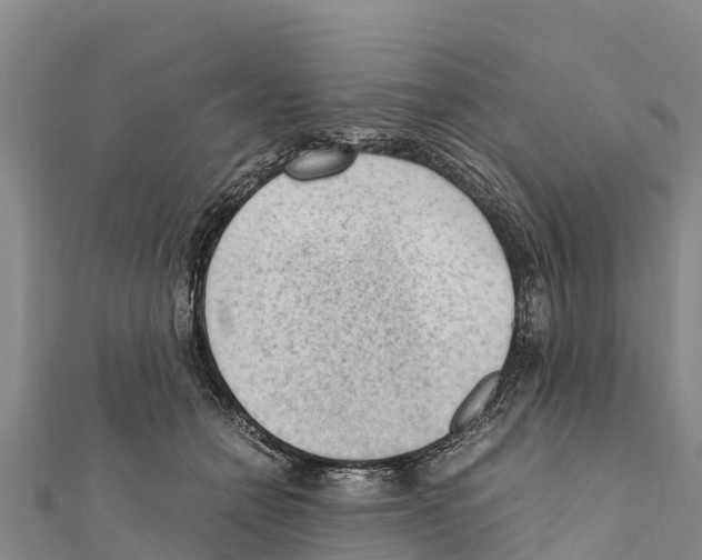 X0000111390558200908211404