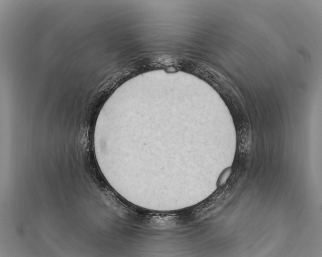 X0000111390560200908211404