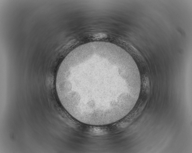 X0000111390565200908211404