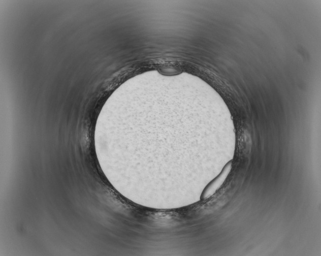 X0000111390566200908211404