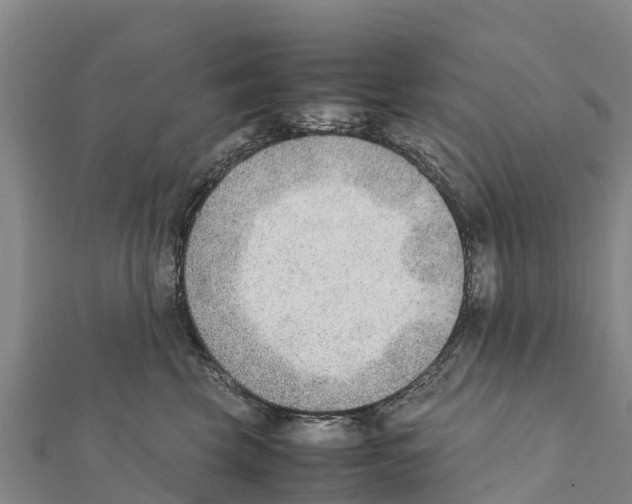 X0000111390569200908211404