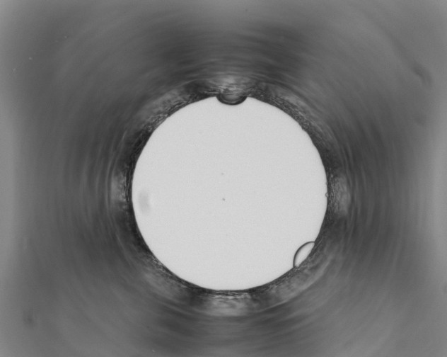 X0000111390571200908211404