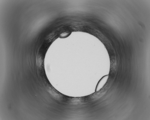 X0000111390574200908211404