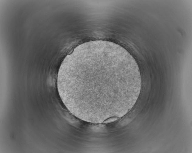 X0000111390576200908211404