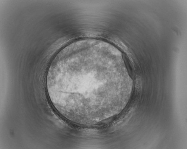 X0000111390577200908211404