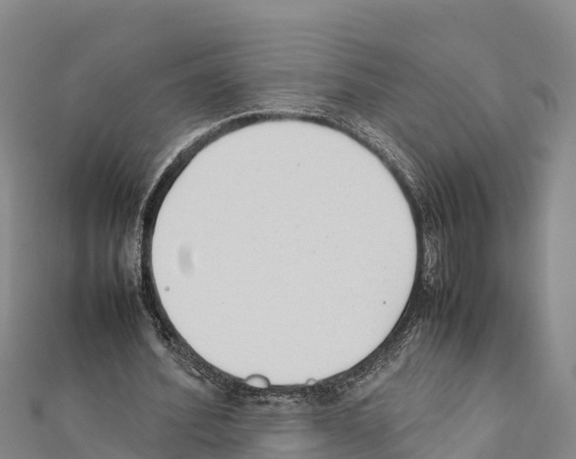 X0000111390580200908211404