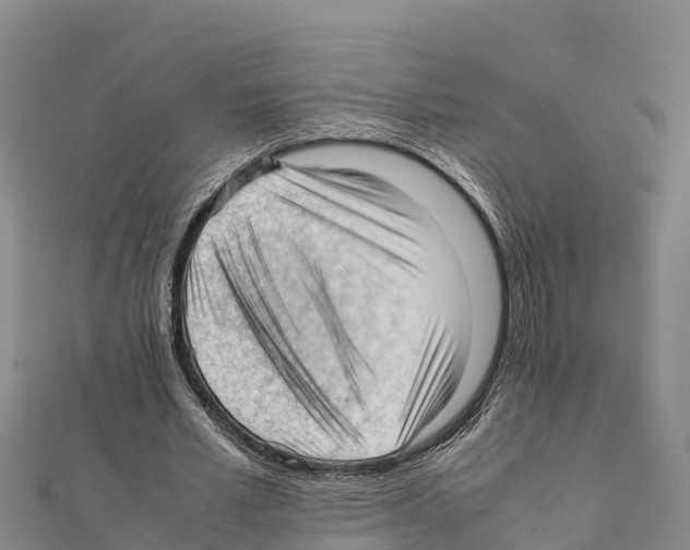 X0000111390581200908211404