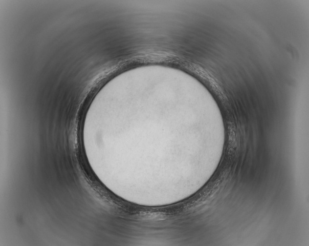 X0000111390582200908211404