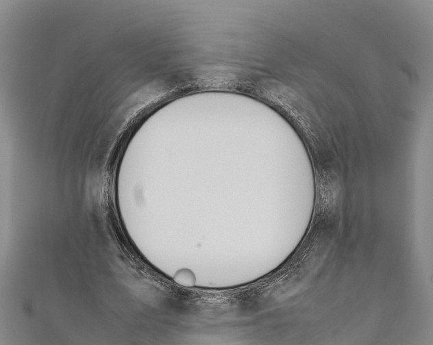 X0000111390583200908211404