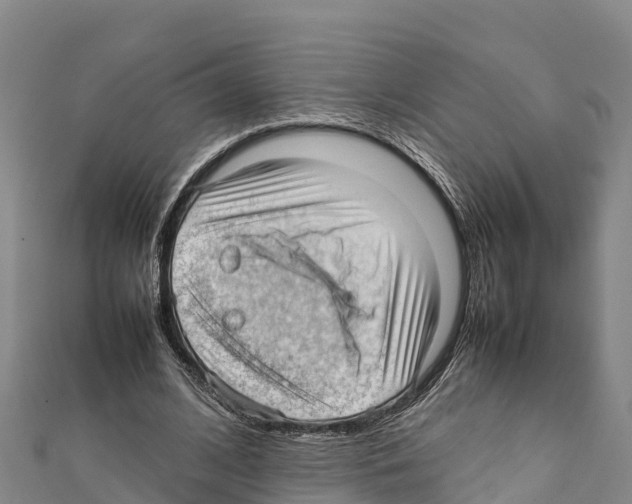 X0000111390584200908211403