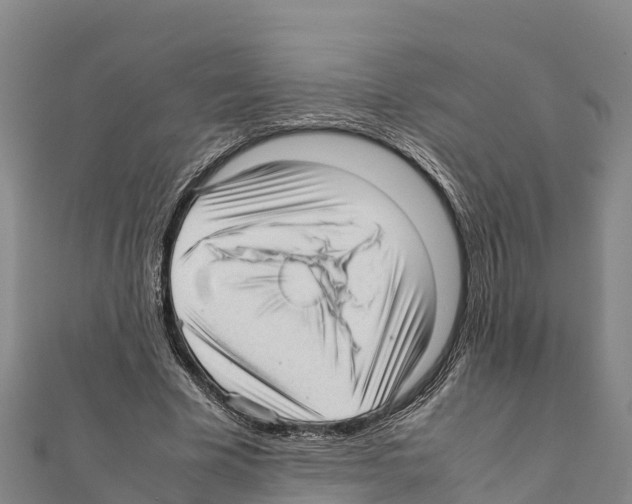 X0000111390585200908211403