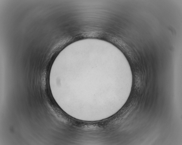 X0000111390586200908211403