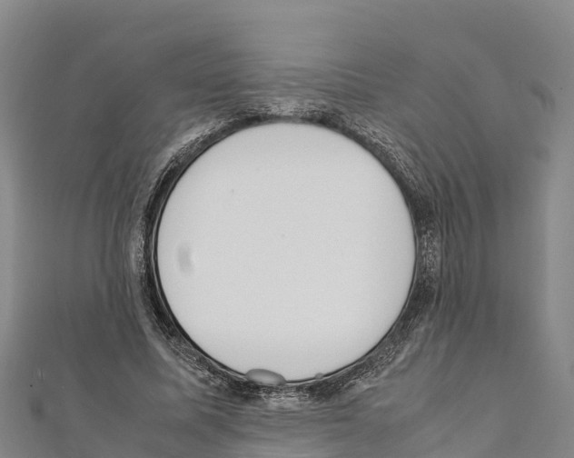 X0000111390587200908211403