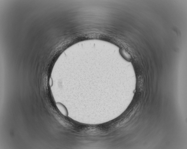X0000111390589200908211403