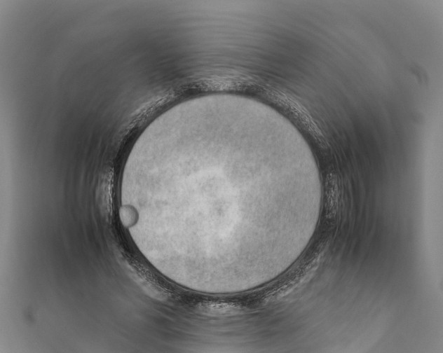 X0000111390590200908211403