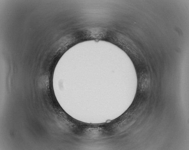 X0000111390595200908211403