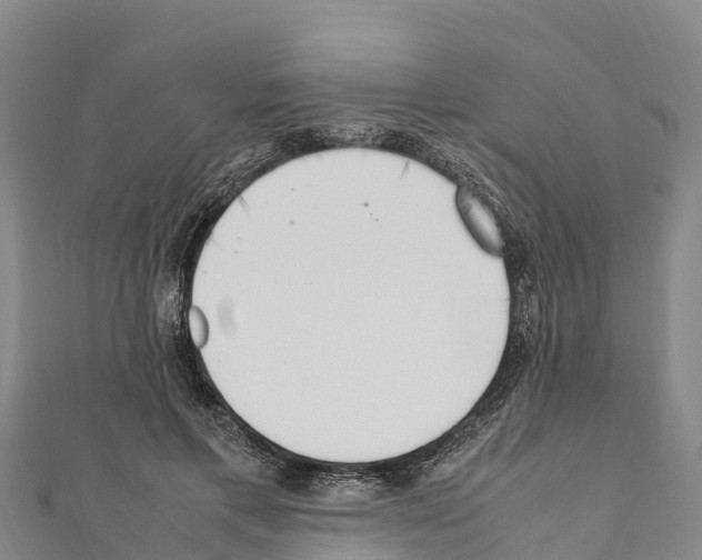 X0000111390597200908211403