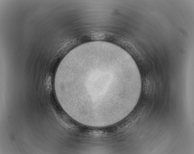 X0000111390598200908211403