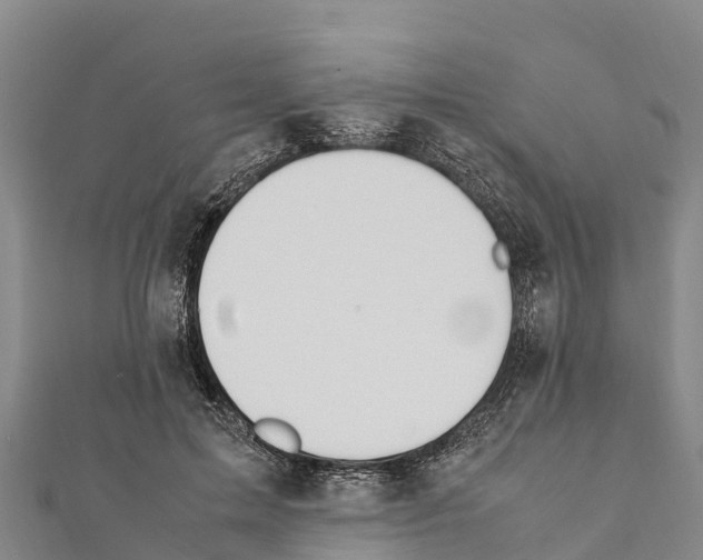 X0000111390599200908211403