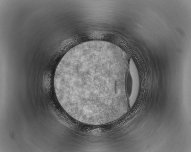 X0000111390600200908211403
