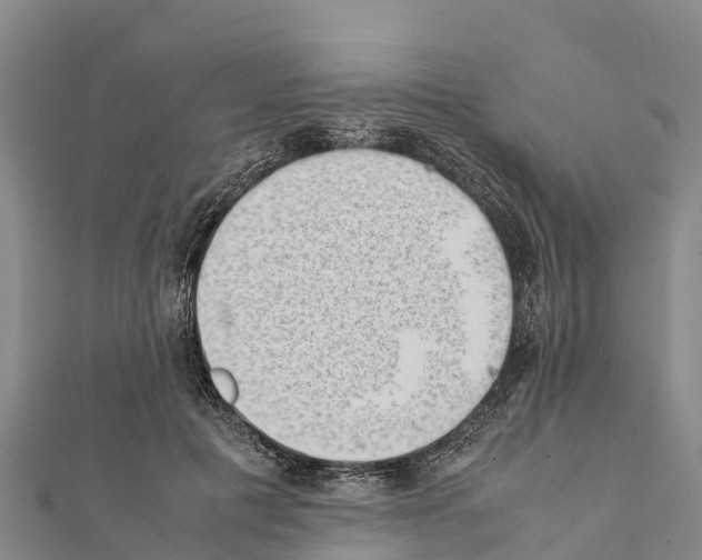 X0000111390601200908211403