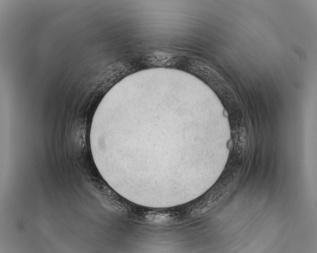 X0000111390602200908211403