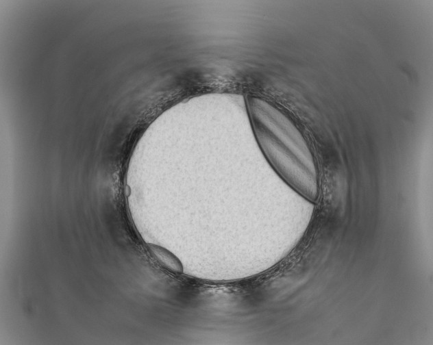 X0000111390611200908211403